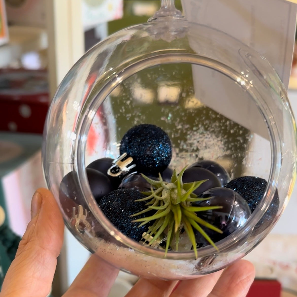 Living Ornament Air Plant Terrarium